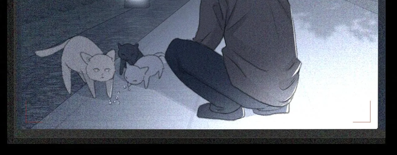 第44话 在黑暗中的证据 第26页