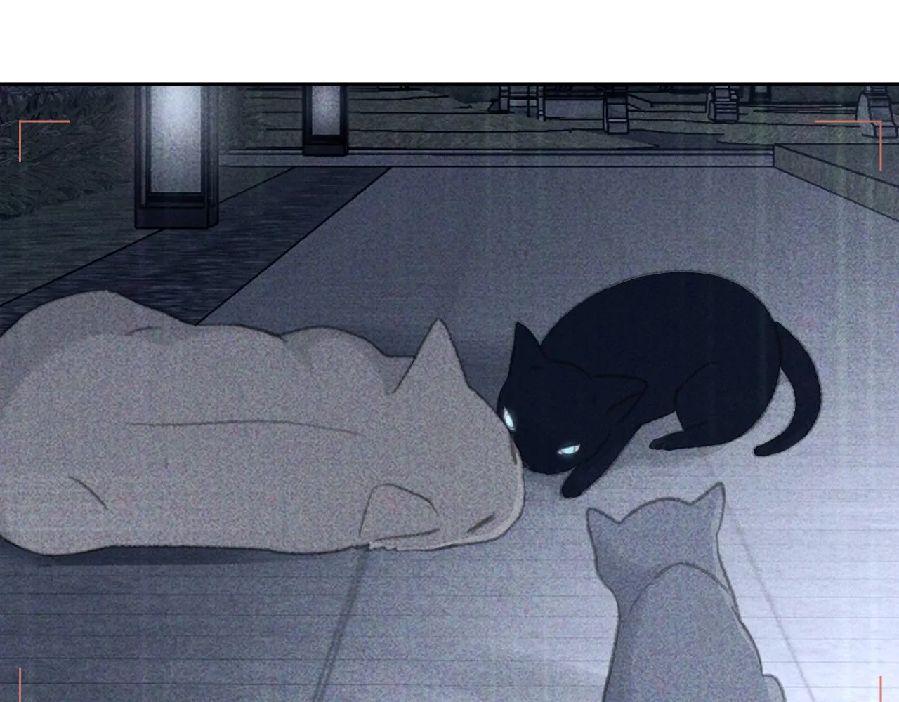 第44话 在黑暗中的证据 第31页