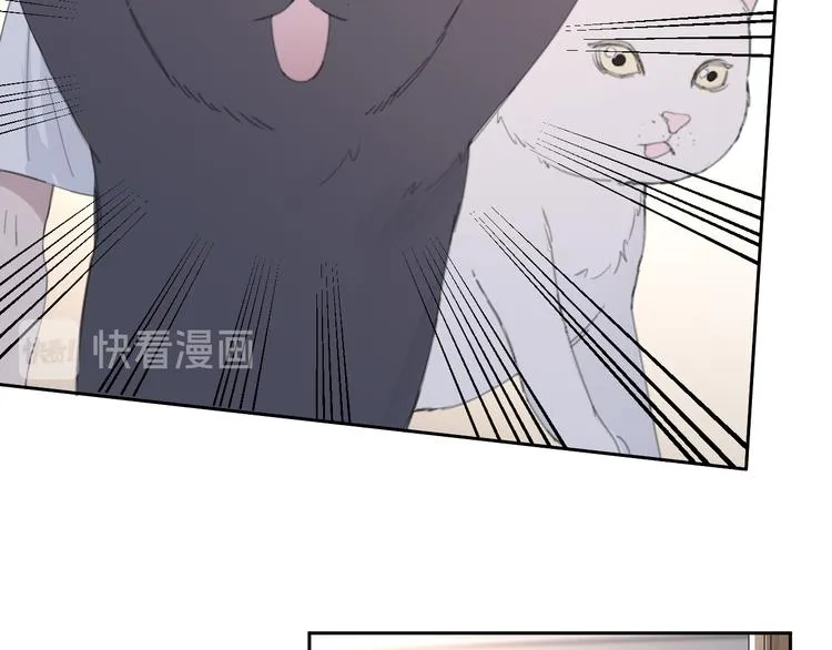 第50话 不要走好不好 第12页