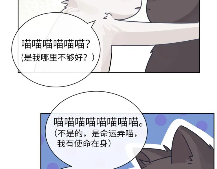 第二季第12话 你比较重要 第84页
