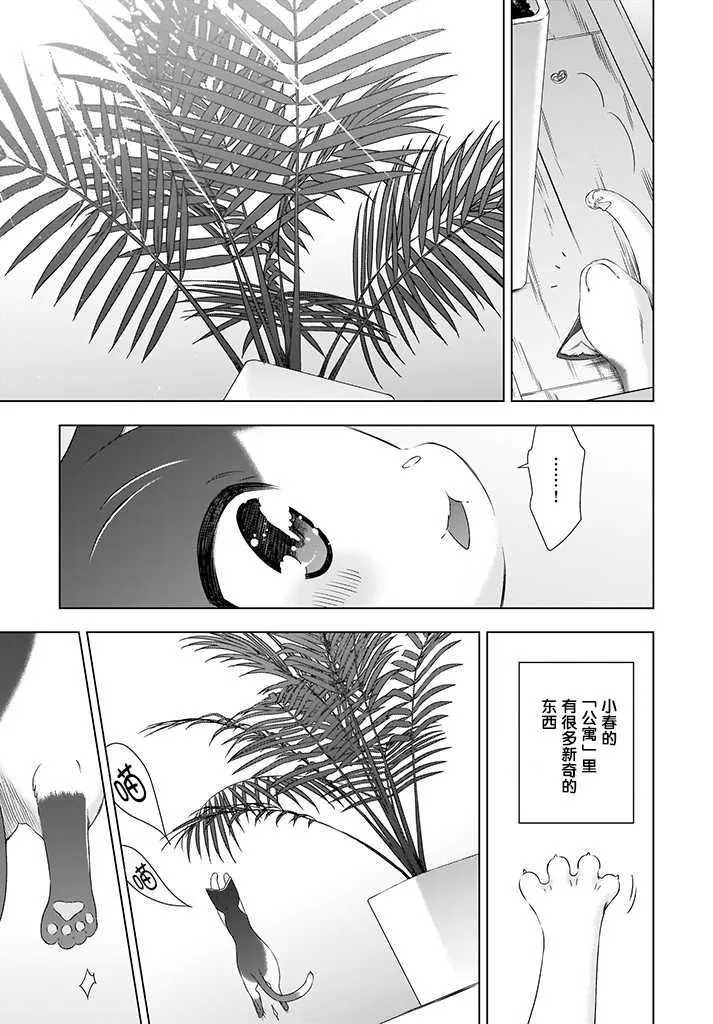 3话 第9页