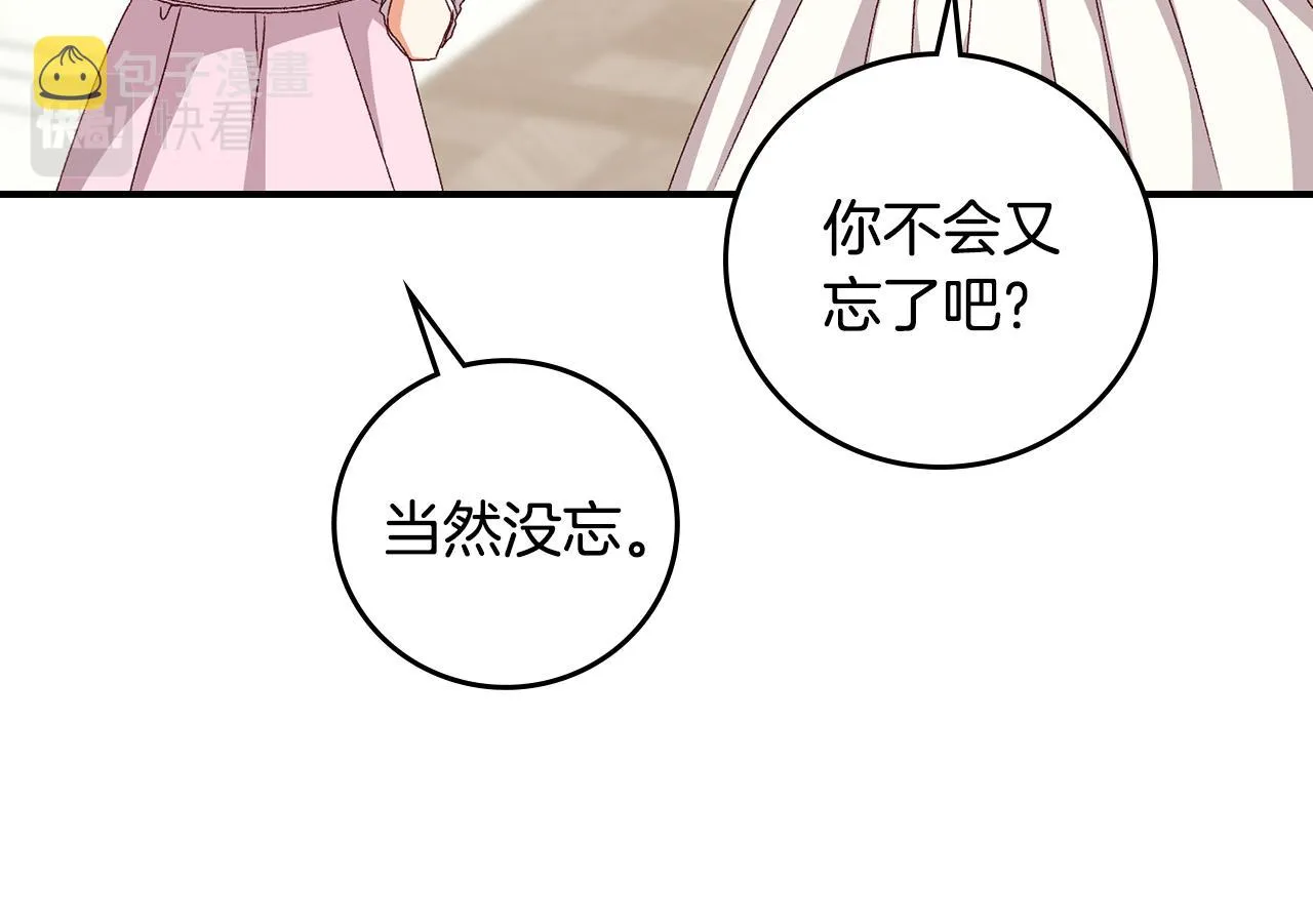 完结篇 婚礼 第13页