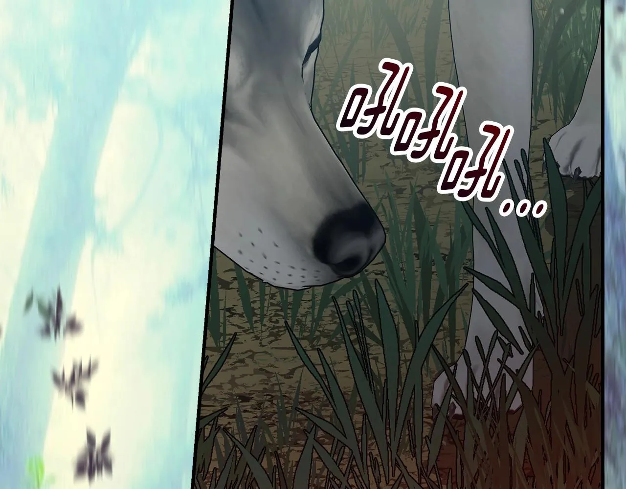 第77话 海莉生死一刻 第150页