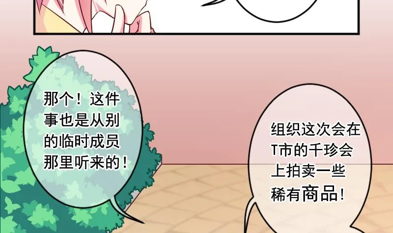 第27话 送上门的情报 第11页