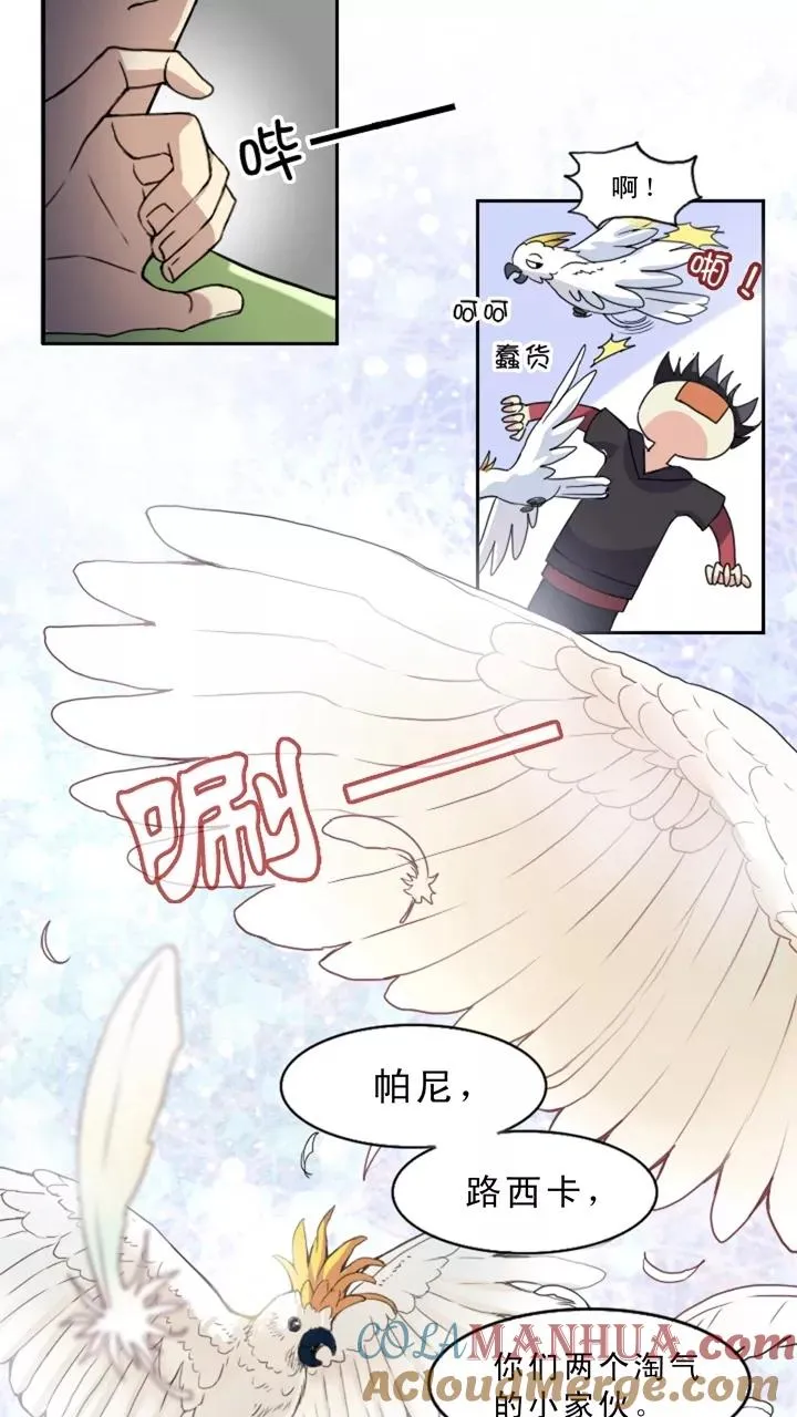 第3话 演出就要开始了 第28页