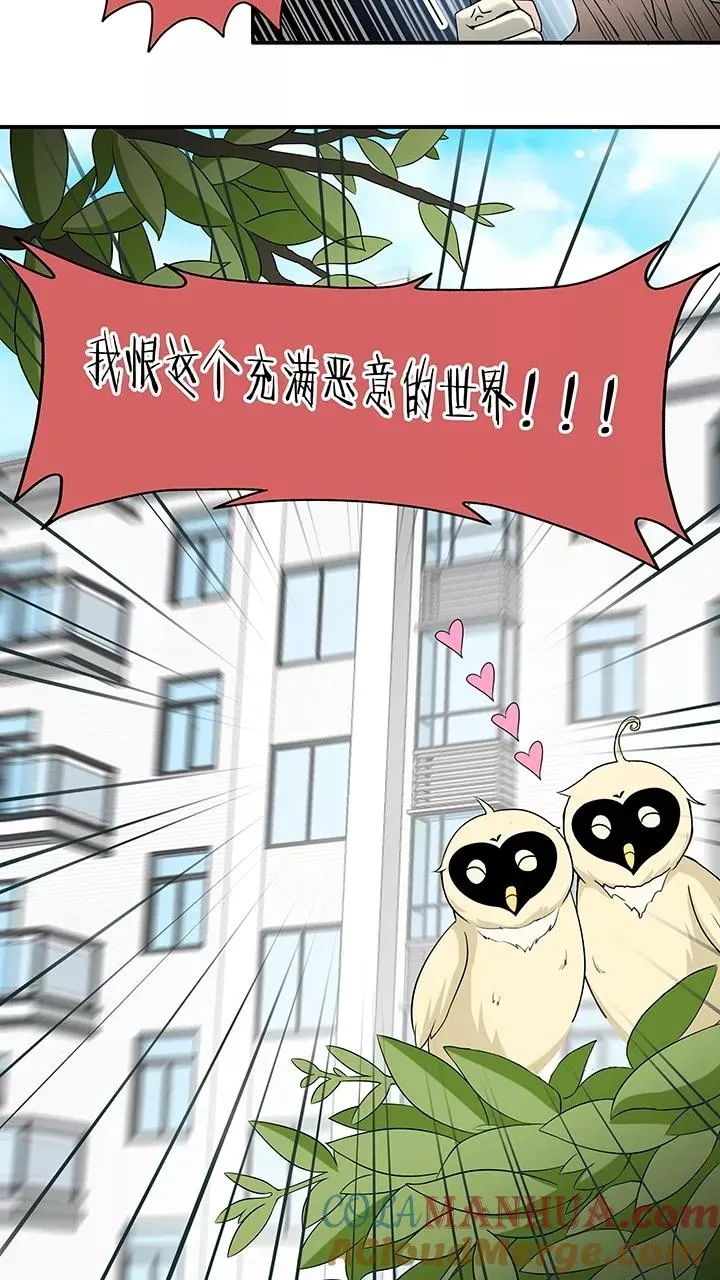 第53话 春季校运会来了！1 第19页