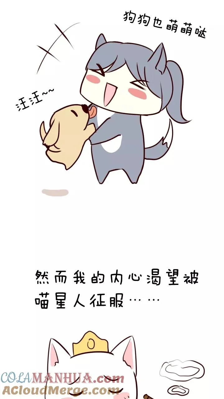 第65话 马尔代夫的笔会！2 第41页