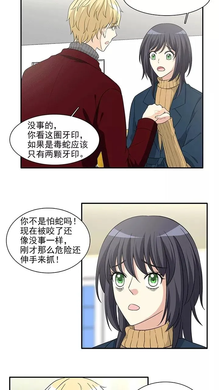 第206话 蛇（shen）助攻1 第12页