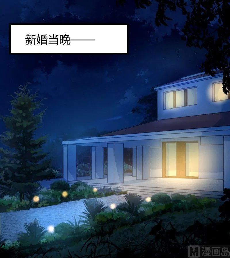 第2话 新婚夜的第三者 第2页