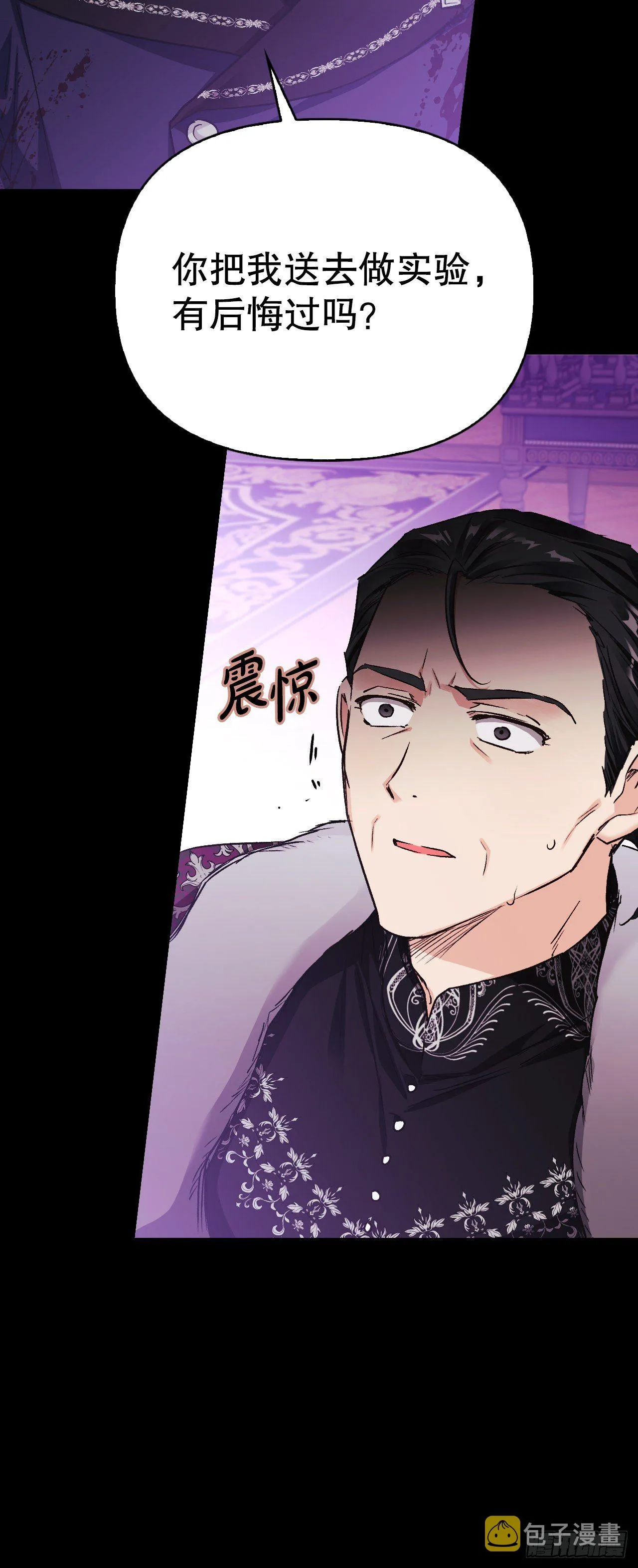 85.谜团 第42页