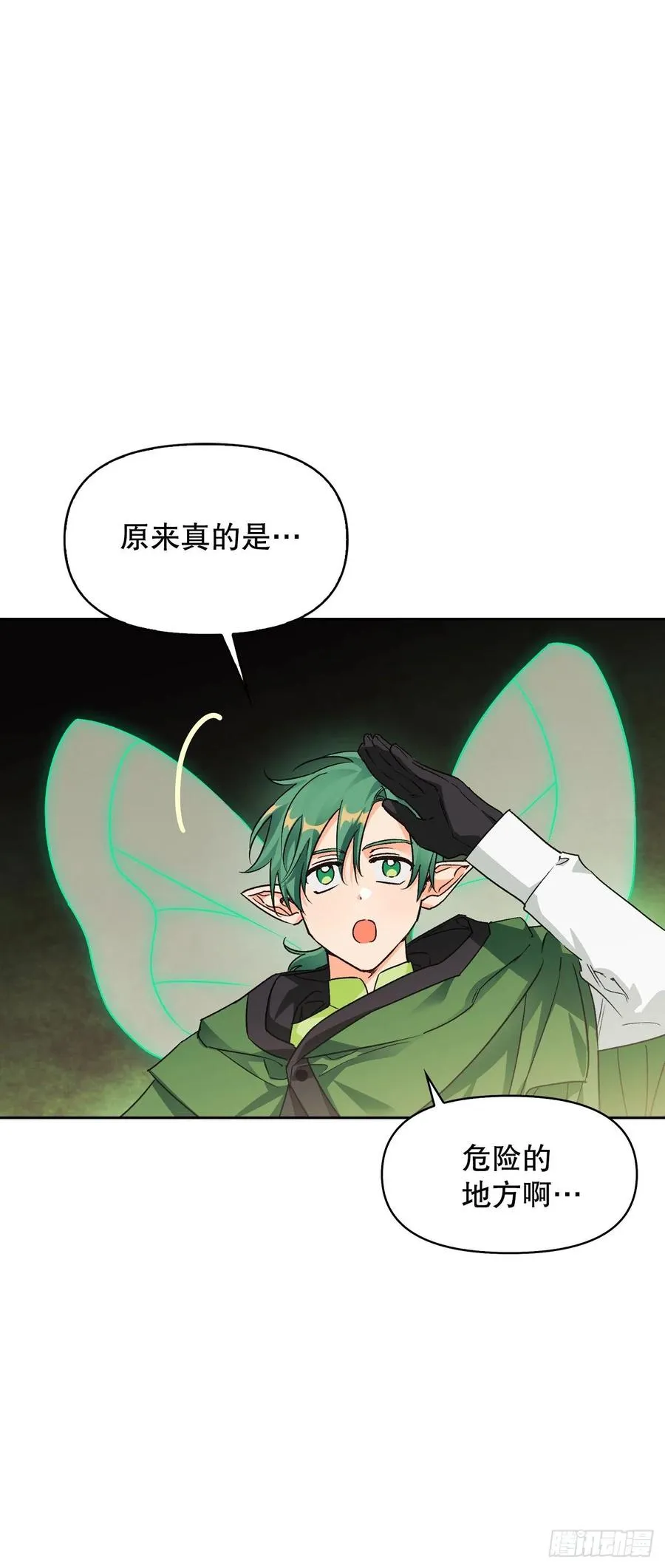 81.世界树 第2页