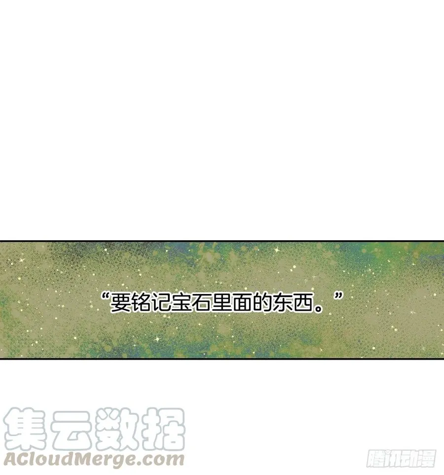 11.阿莱德绿宝石碎了？！ 第45页