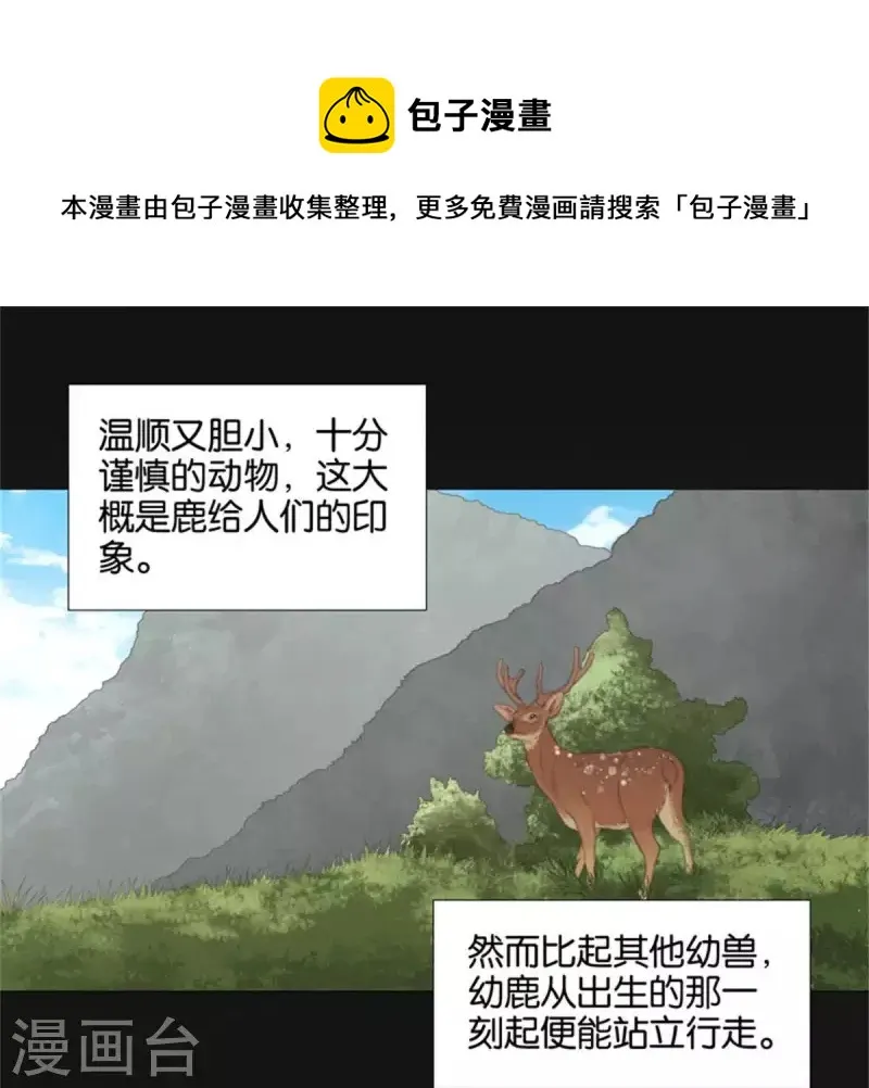 第81话 动物世界充满智慧 第1页