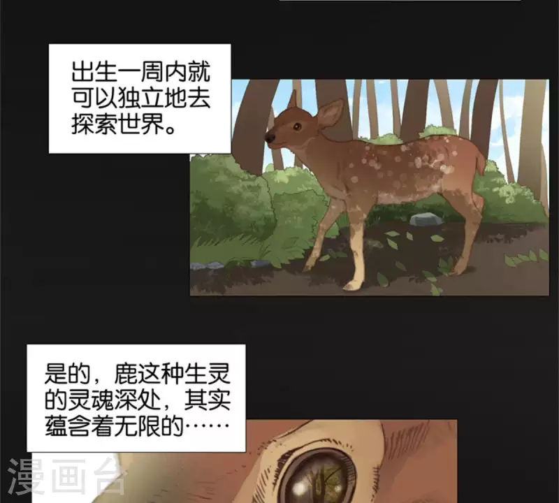 第81话 动物世界充满智慧 第2页