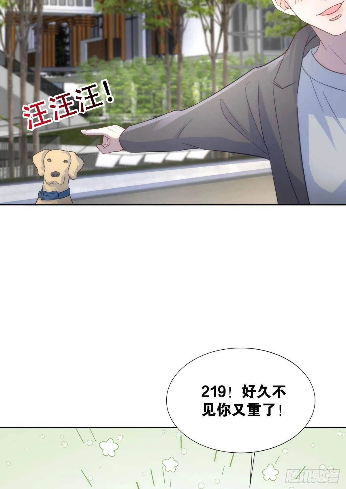 滴滴退休卡 第20页