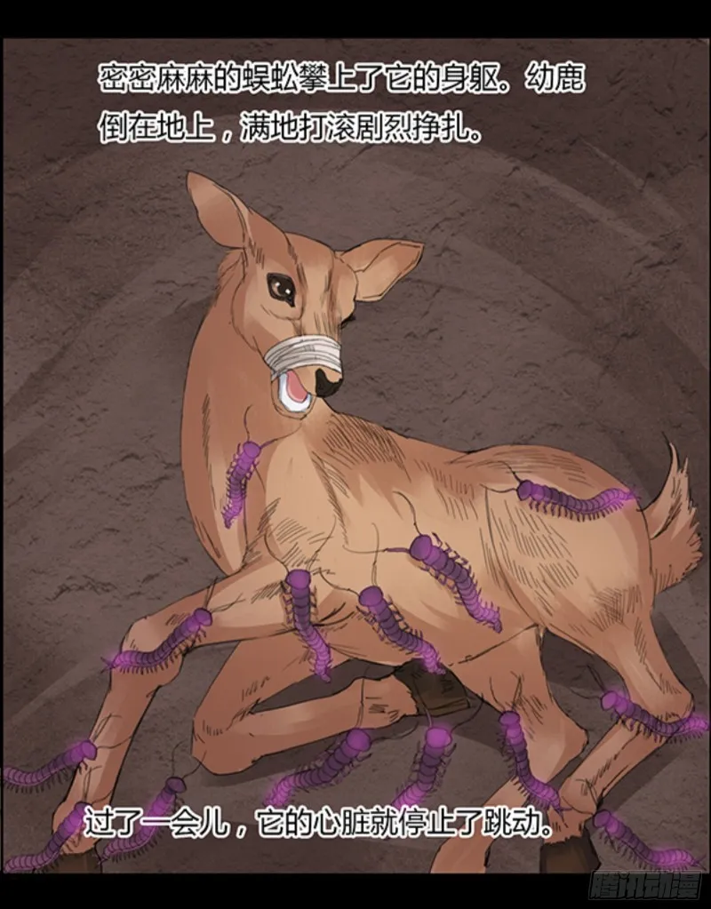 锯齿金蜈 第19页
