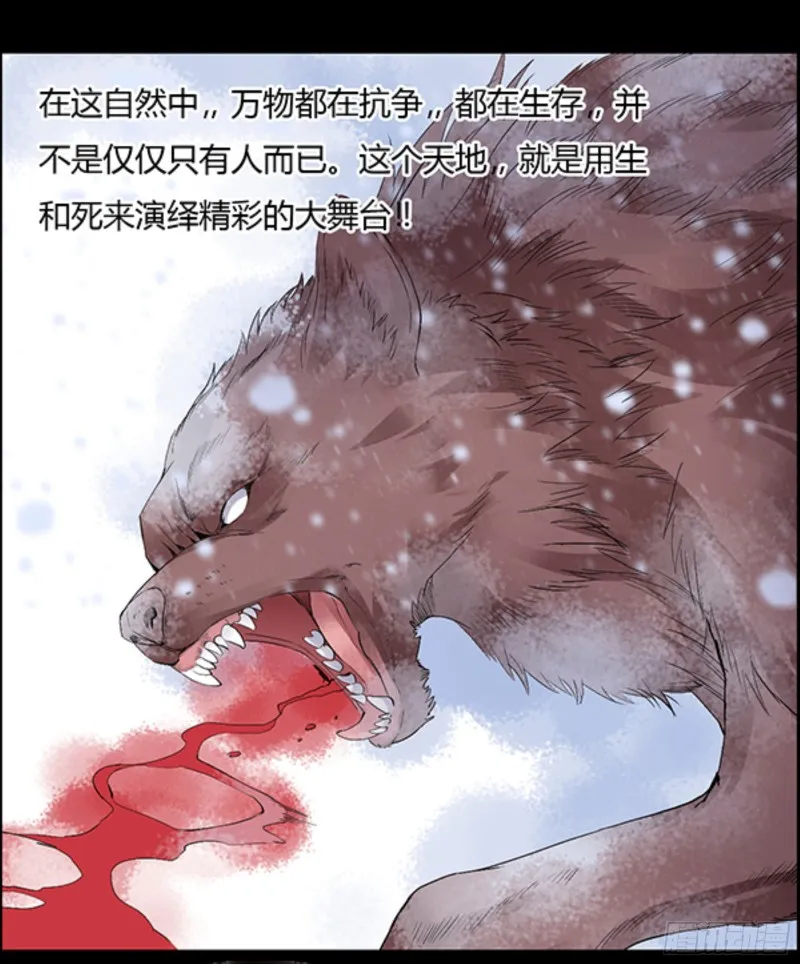 筹码 第15页