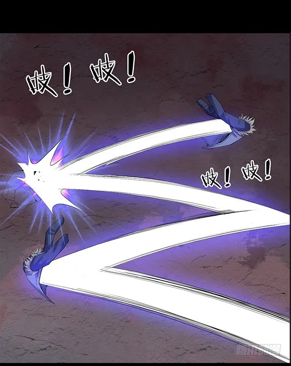 吞江蟾 第4页