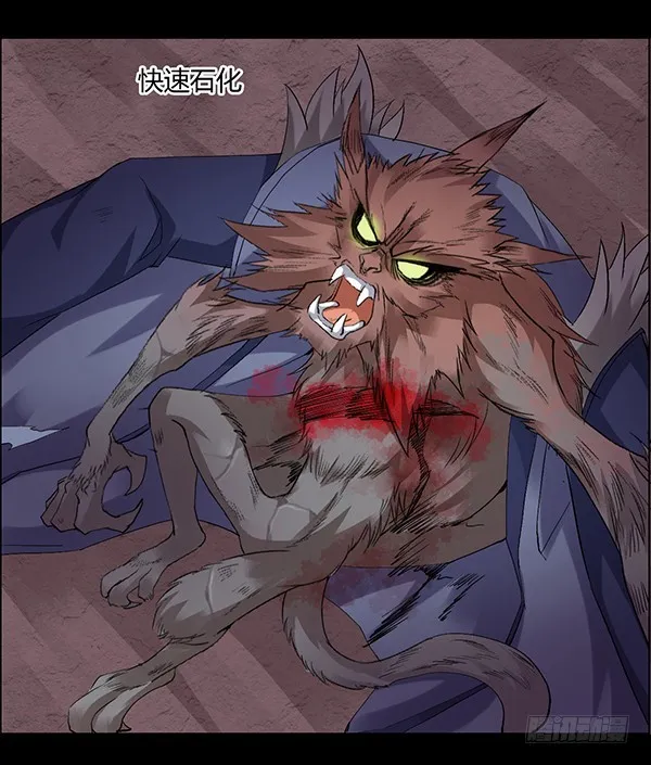 吞江蟾 第8页