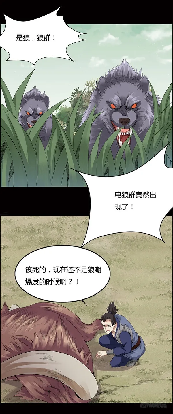 猪的队友 第21页