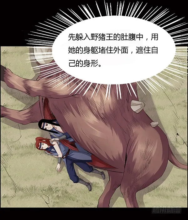 猪的队友 第25页