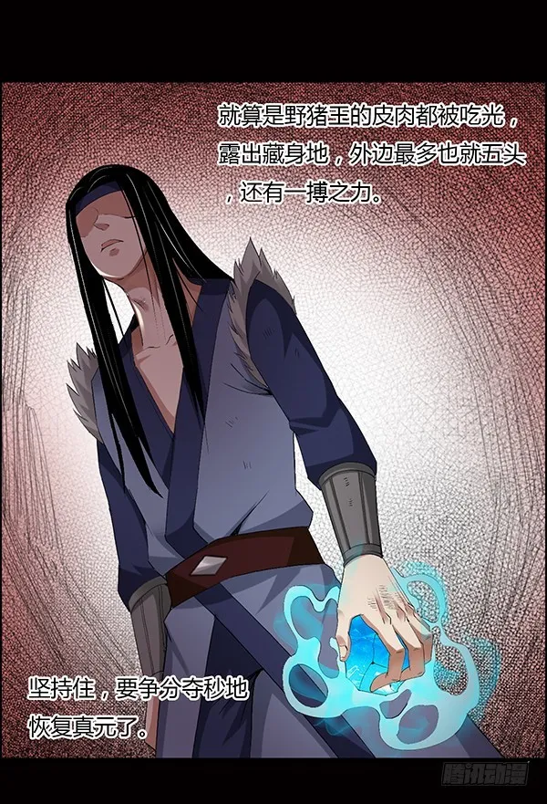 猪的队友 第29页