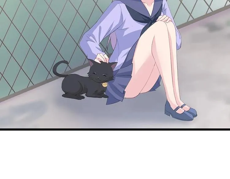 11 第37页
