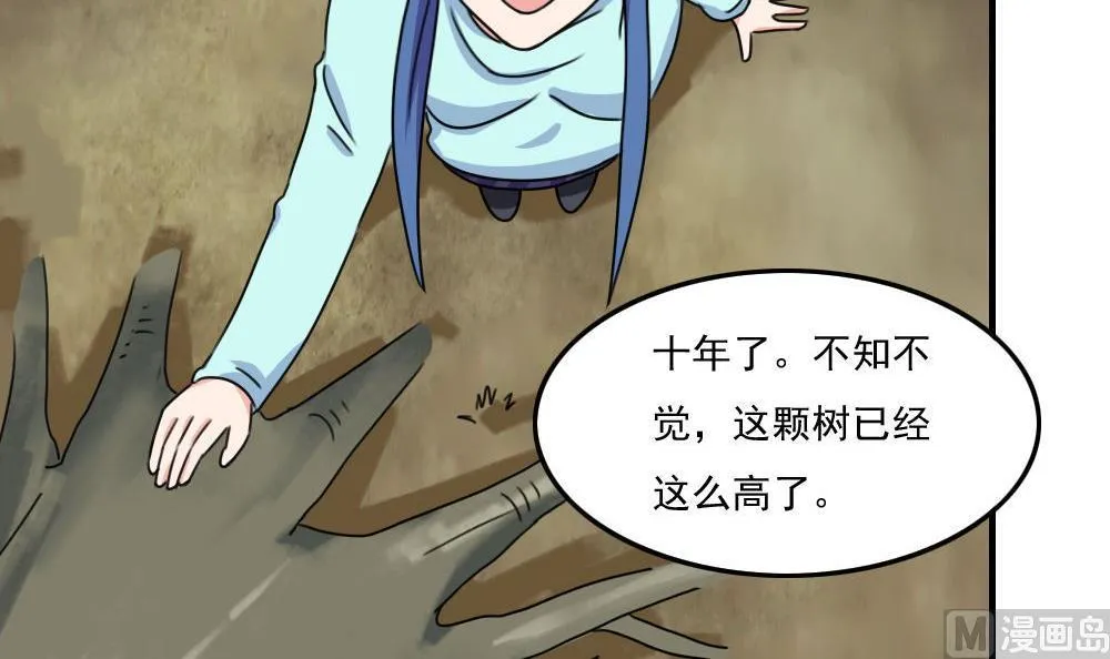 第206话 齐老爷子 1 第13页