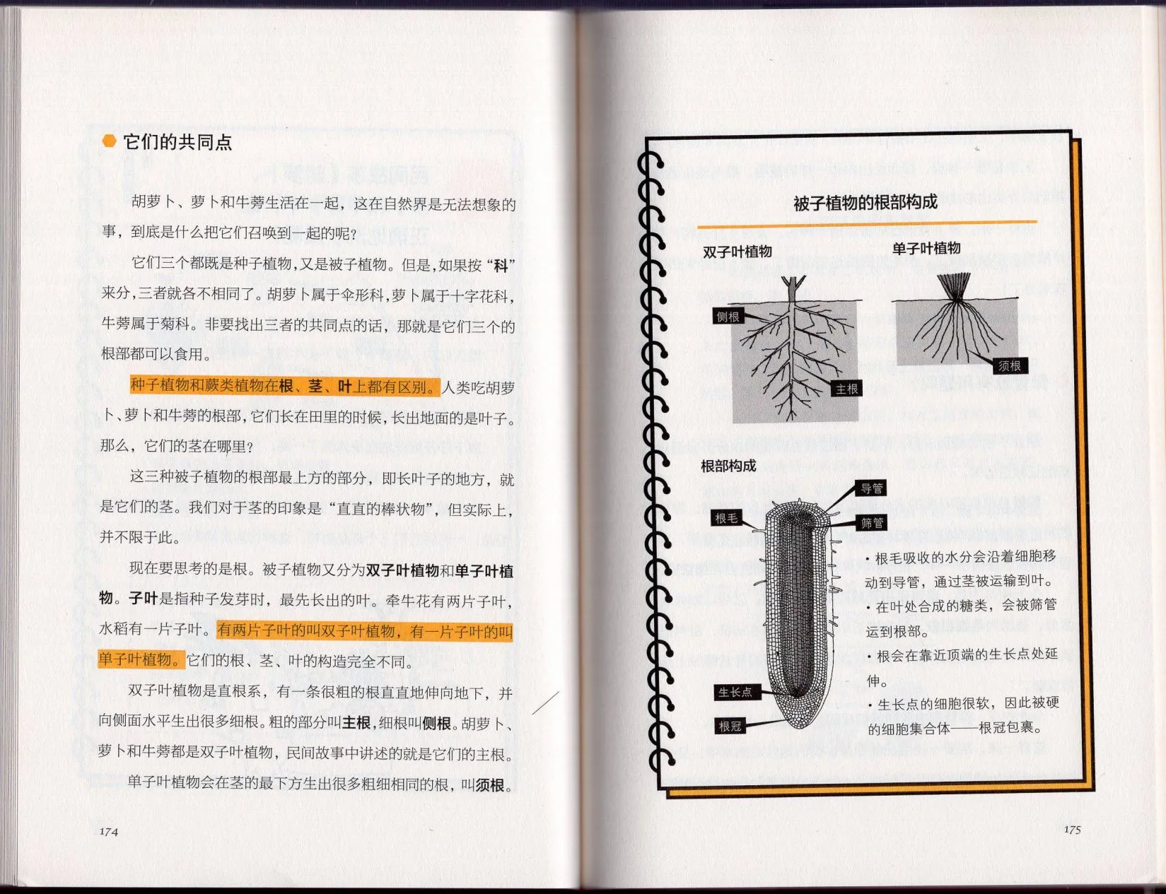 空想科学理科读本 第93页