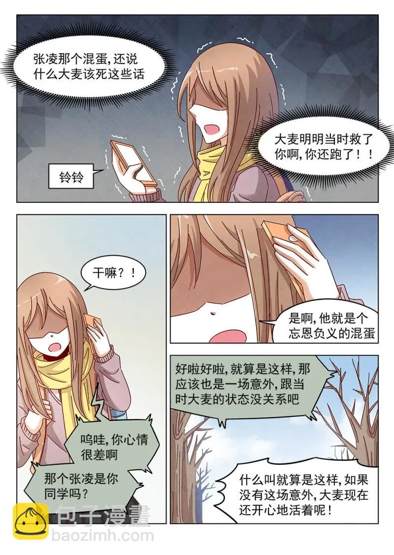 11（2） 第4页