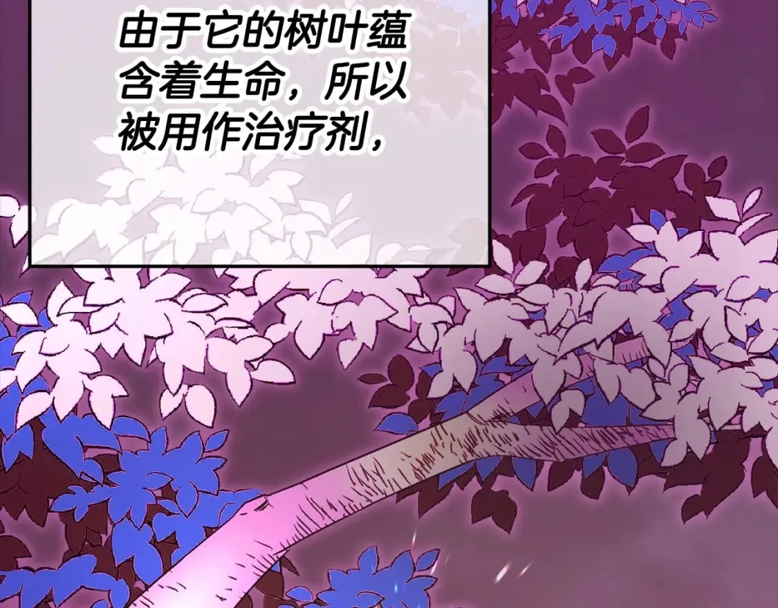 第124话 生命之树 第96页