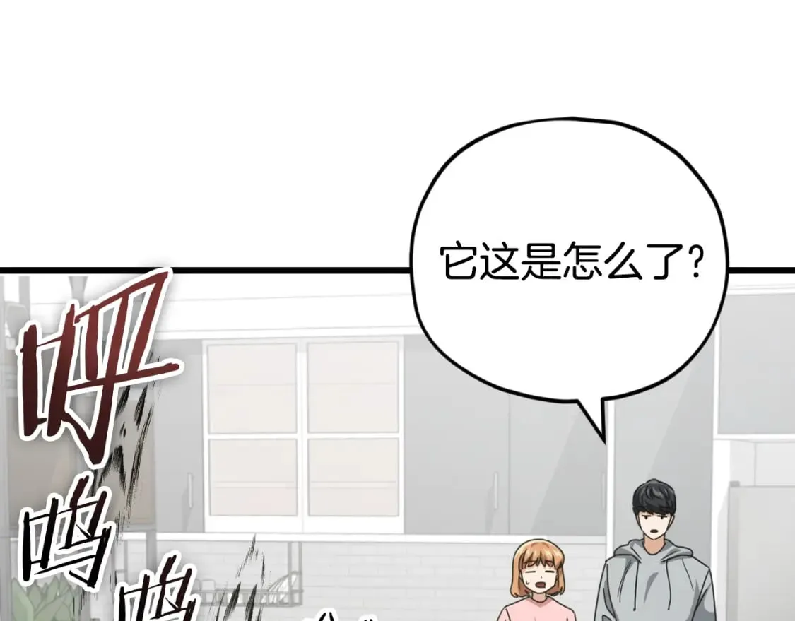 第135话 龙龙鲫鱼饼 第217页