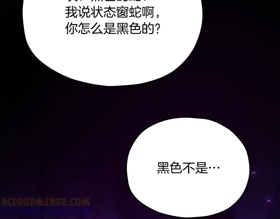 第208话 超强的魅力 第165页