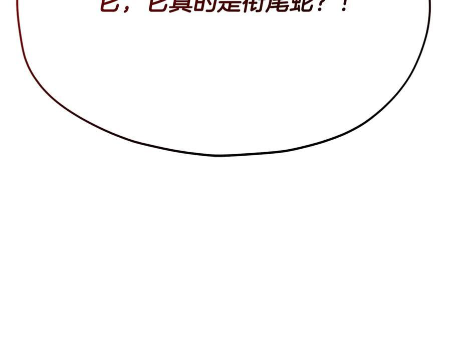 第208话 超强的魅力 第178页