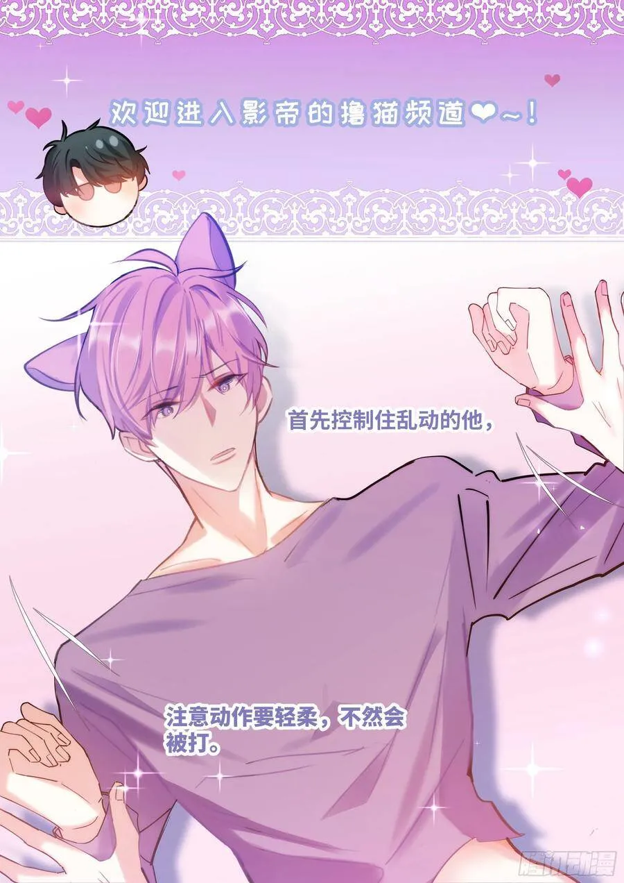 185.撸猫 第12页