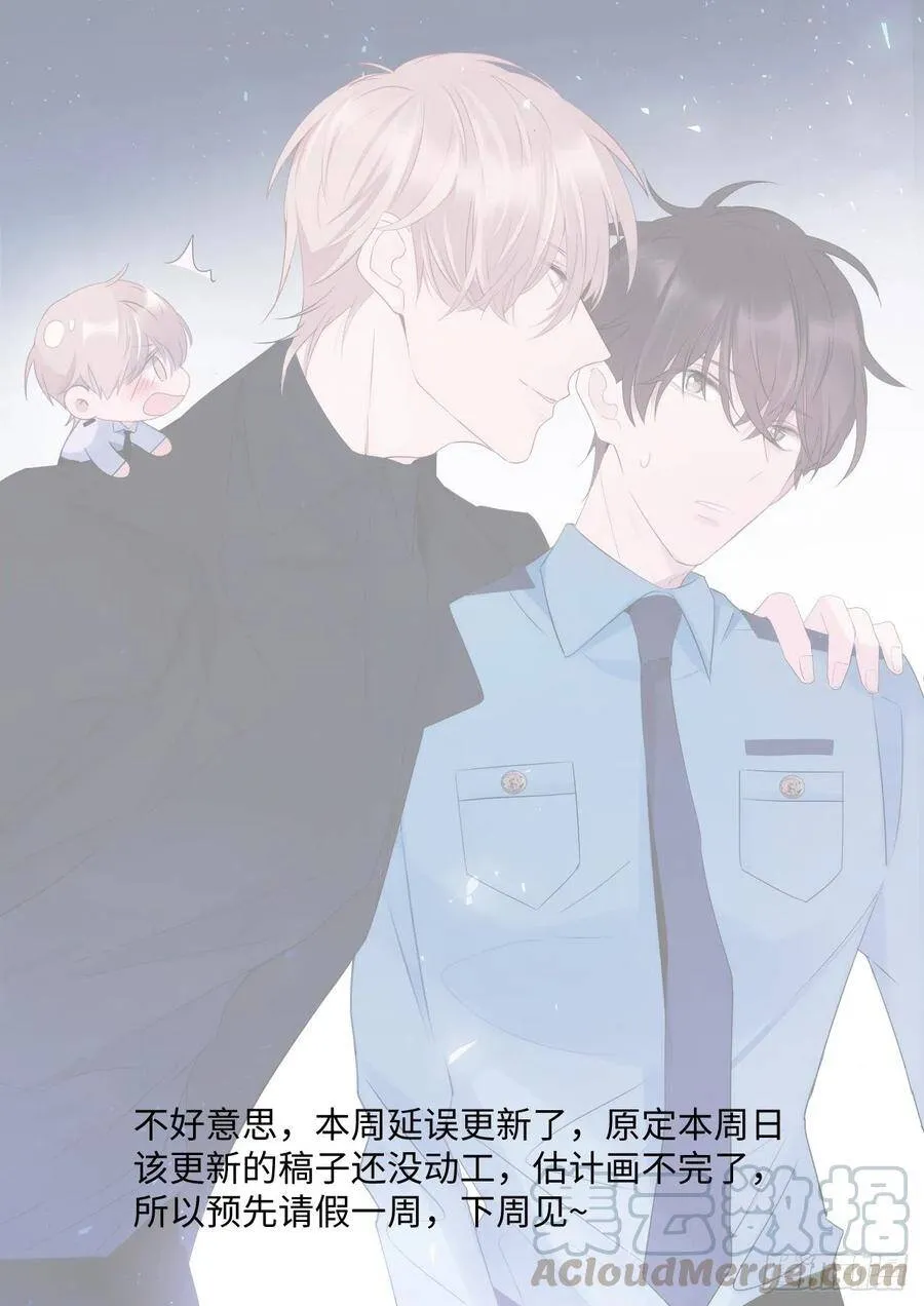 185.撸猫 第17页