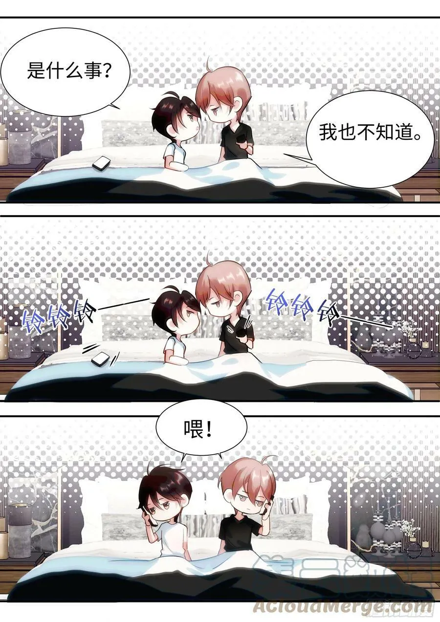 221.突发热搜 第15页