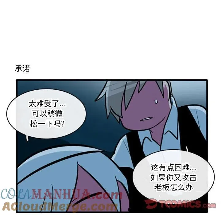 55 第19页