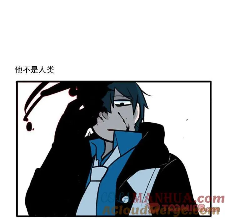61 第19页