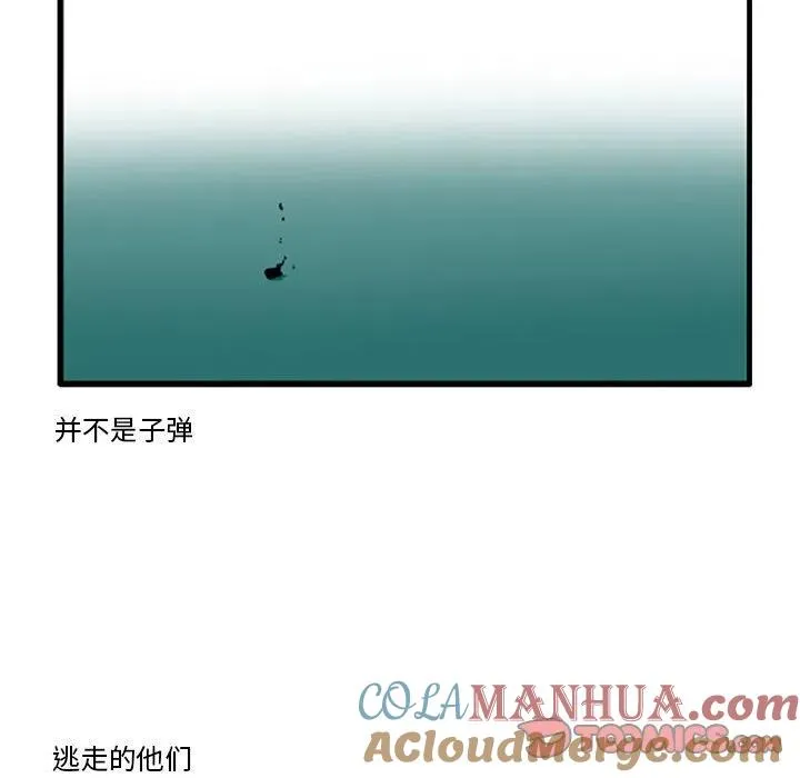 61 第31页