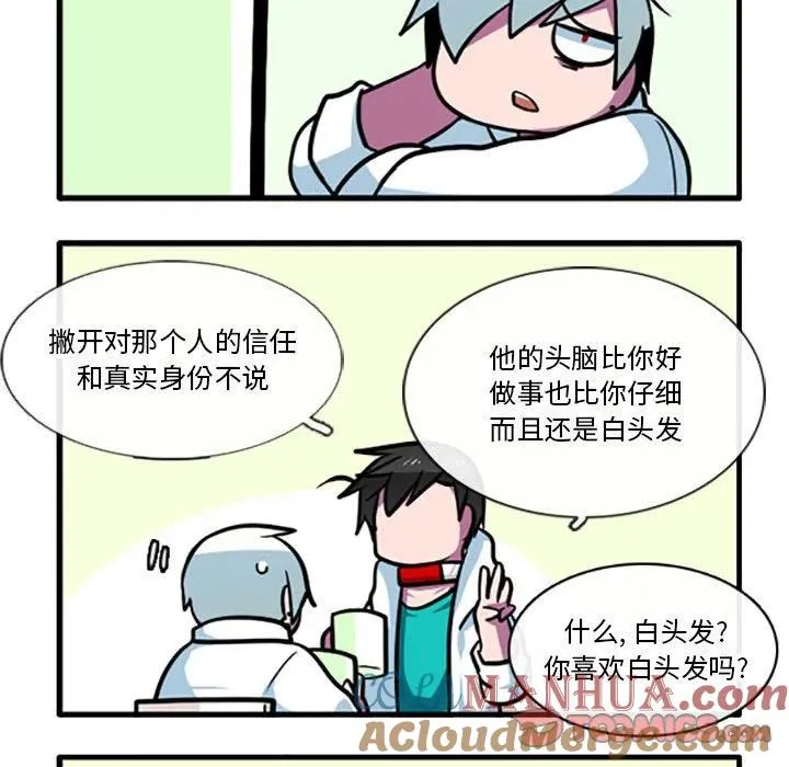 81 第31页