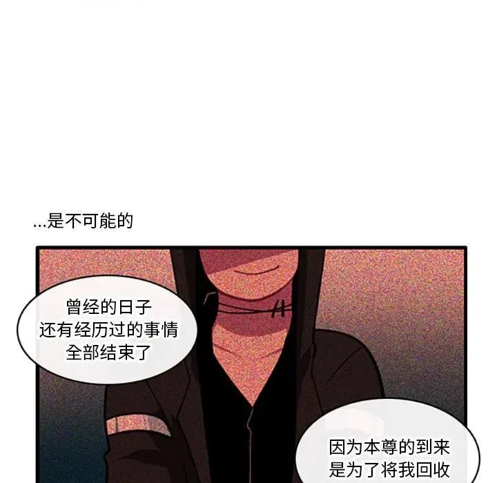 97 第22页