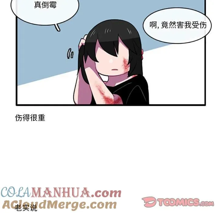 113 第31页