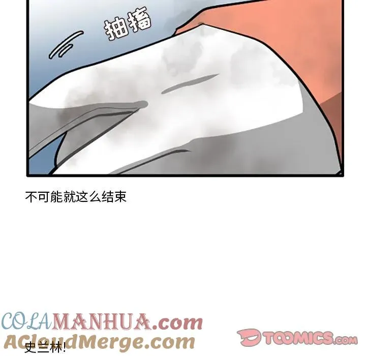 115 第31页