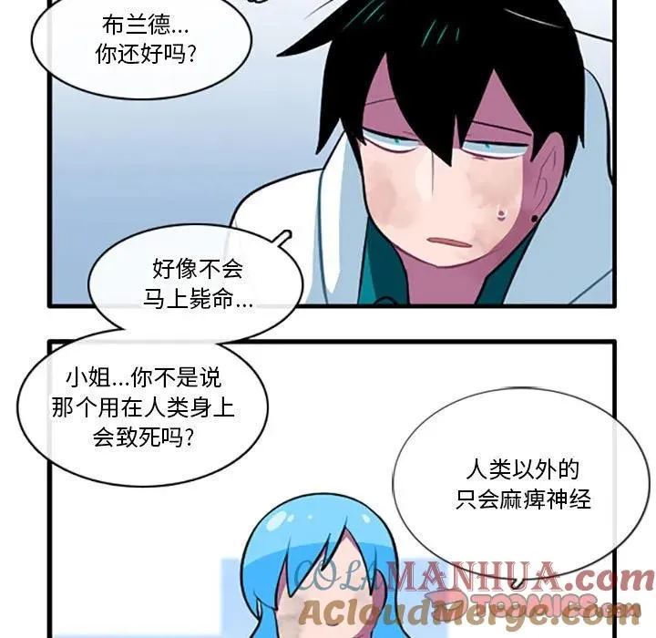 118 第29页