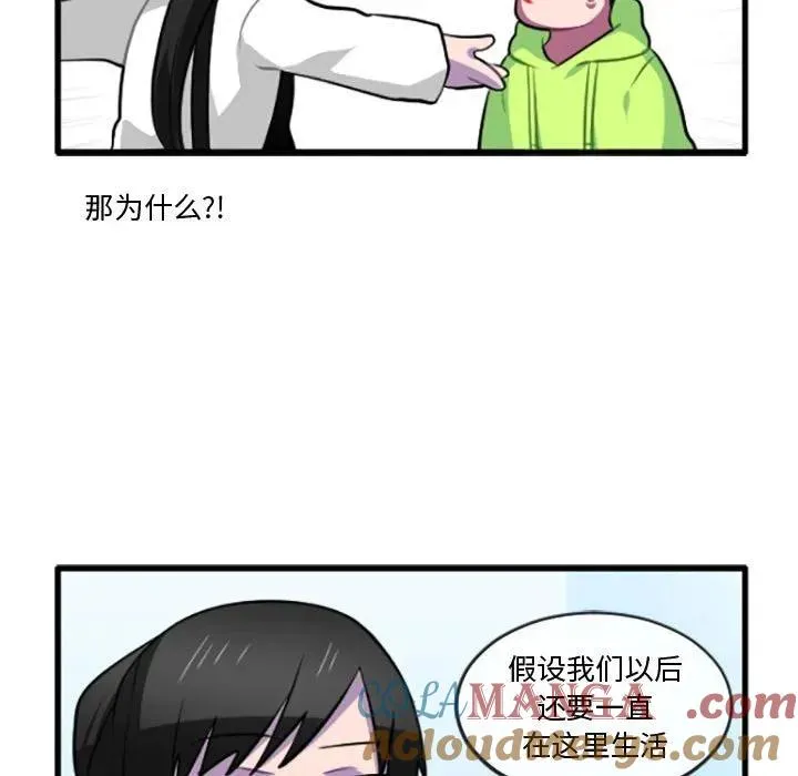 207 第11页