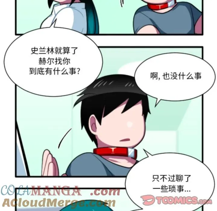 213 第11页