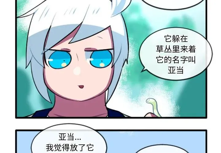 215 第4页