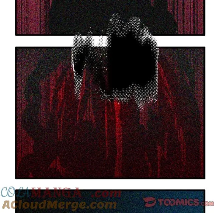 215 第11页