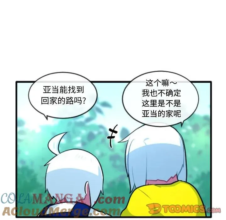 215 第19页